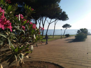  Atalaya a pie de playa  Кониль-Де-Ла-Фронтера